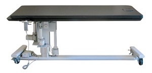 SL-3, 3-Movement Pain Table